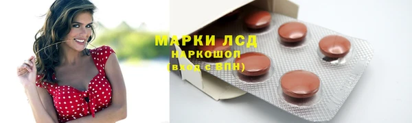 индика Нягань