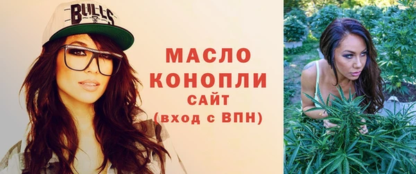 индика Нягань