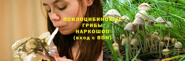 ГАЛЛЮЦИНОГЕННЫЕ ГРИБЫ Нязепетровск