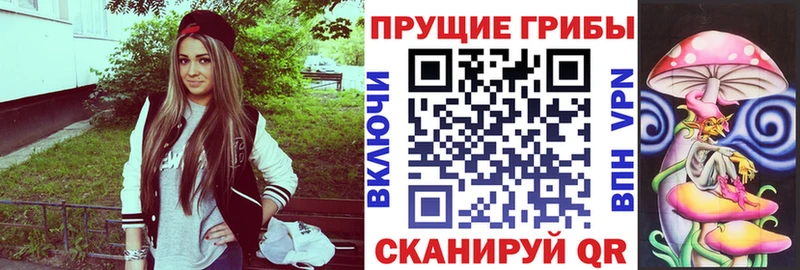 Псилоцибиновые грибы Cubensis Спасск