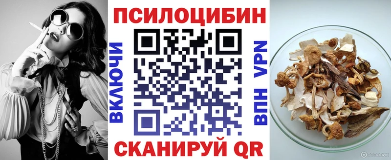 Галлюциногенные грибы Psilocybine cubensis Спасск